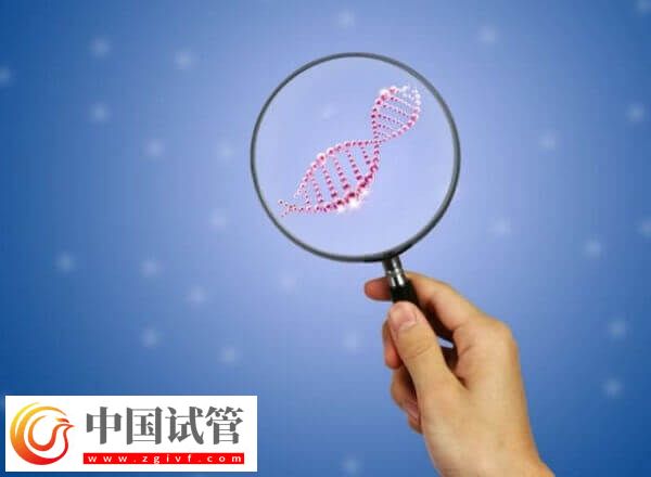 三代试管婴儿一个周期多长时间(图1) 三代试管婴儿一个周期多长时间(图1)