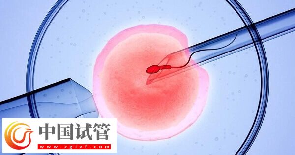 三代试管婴儿一个周期多长时间(图3) 三代试管婴儿一个周期多长时间(图3)