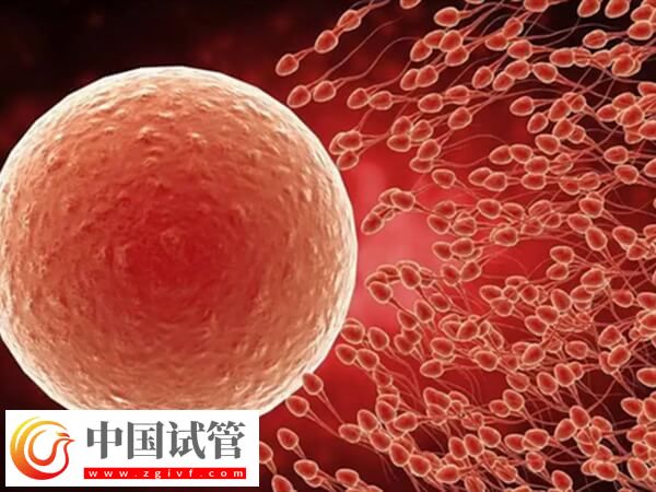 胚胎没过PGS筛查能不能用(图1)