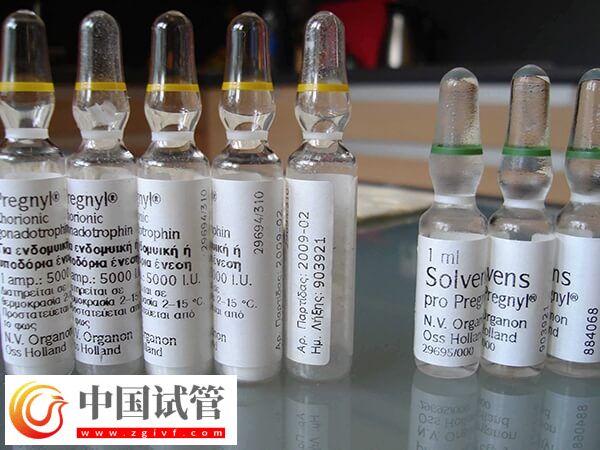 试管长方案珍怡的作用有哪些(图1)