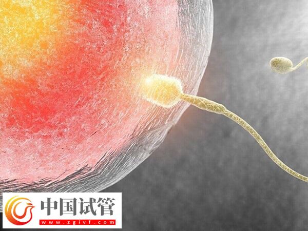 有没有37岁高龄做试管成功的案例(图1)