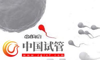 少精症的病因是什么？能做试管吗？(图1)