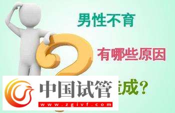 影响男性不孕的因素有哪些？(图1)