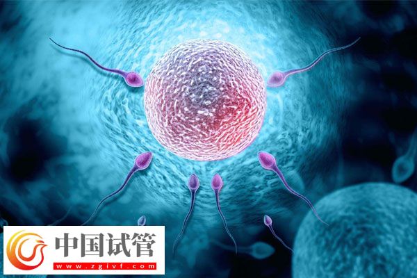 女性卵巢囊肿做试管婴儿成功率有60%吗?(图1)