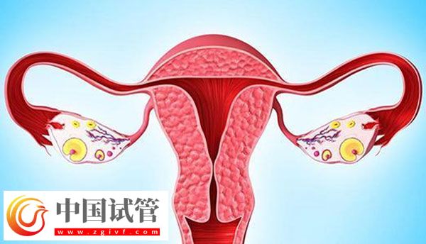 卵巢 输卵管堵塞做试管婴儿的话可以怀孕吗?(图1)