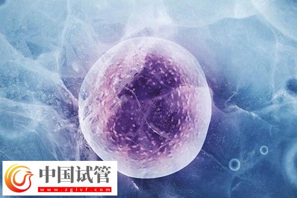 试管移植前降调是啥意思(图1) 试管移植前降调是啥意思(图1)