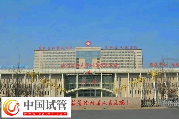 沭阳人民医院试管婴儿成功率怎么样(图1) 沭阳人民医院试管婴儿成功率怎么样(图1)