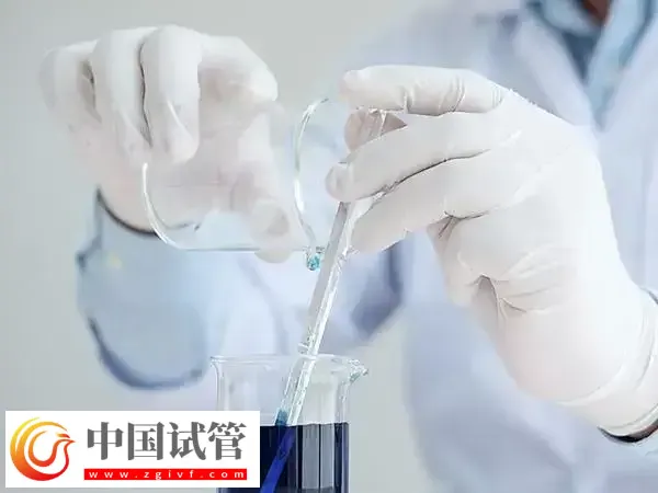 试管婴儿取卵手术注意事项有哪些(图1) 试管婴儿取卵手术注意事项有哪些(图1)